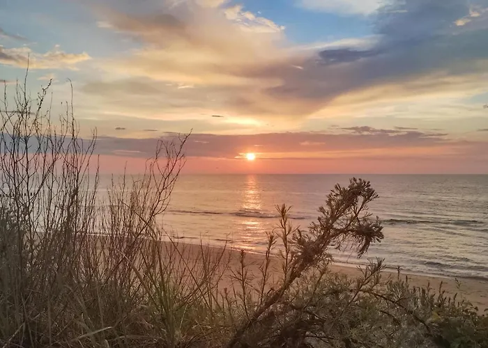 Gorgeous In With Wifi Appartement *